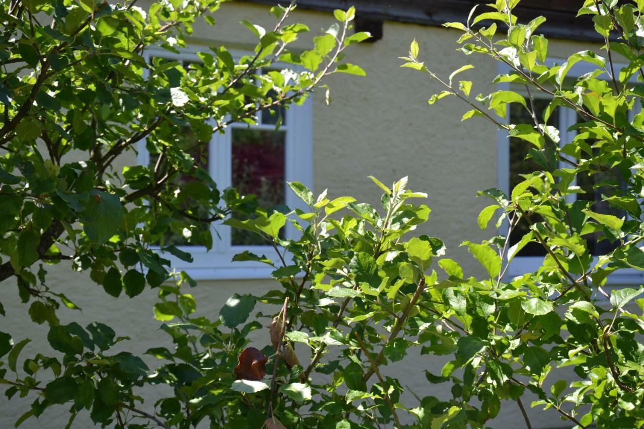 Ferienwohnung Coralie Strobl Exterior foto